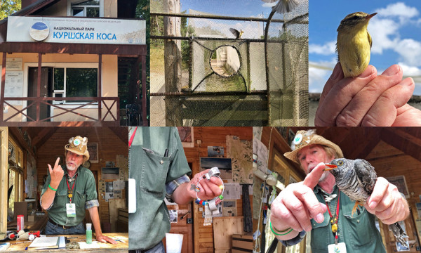 Оцениваем приобретения и потери хэтча Lada Xray Cross с вариатором Оцениваем приобретения и потери хэтча Lada Xray Cross с вариатором