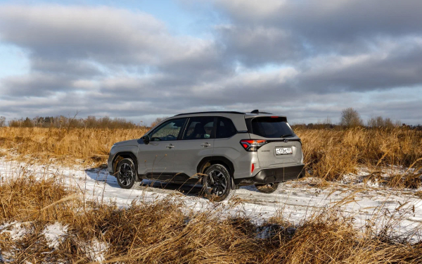 
            Егерь из барбершопа. Первый тест Subaru Forester нового поколения
        