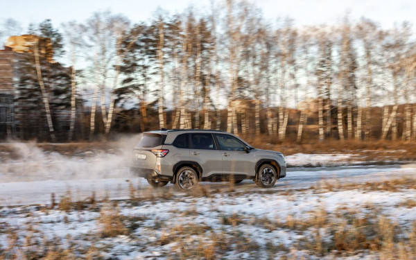 
            Егерь из барбершопа. Первый тест Subaru Forester нового поколения
        