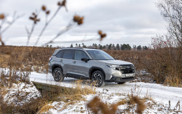 
            Егерь из барбершопа. Первый тест Subaru Forester нового поколения
        