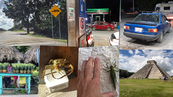 Уличаем седан Volkswagen Jetta в&nbsp;излишней консервативности