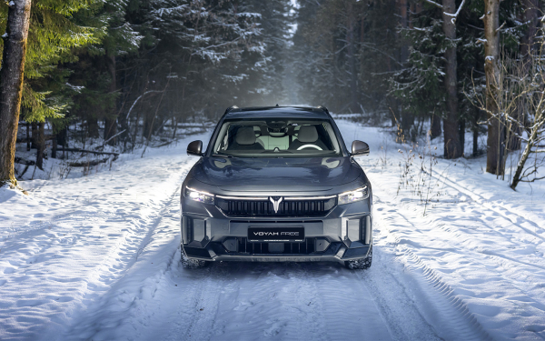 
            Амур не промазал. Дневник одного Voyah Free
        