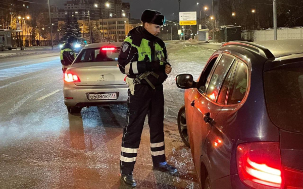 
            ГАИ начала &laquo;тотальные&raquo; проверки водителей перед Новым годом
        