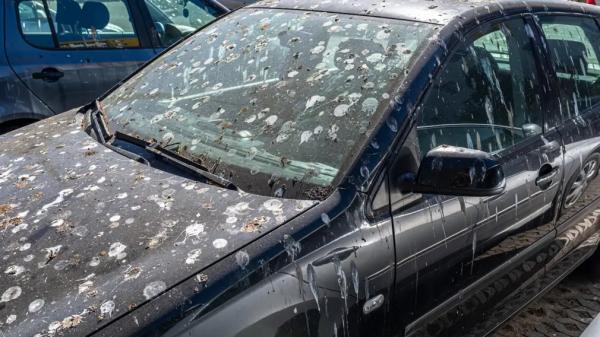 Одно пятно — и лаку на автомобиле конец: российским автовладельцам срочно надо мыть машину в этом случае Одно пятно — и лаку на автомобиле конец: российским автовладельцам срочно надо мыть машину в этом случае